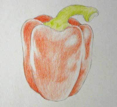 Болгарский перец карандашом