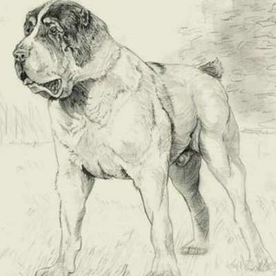 Зарисовки алабая