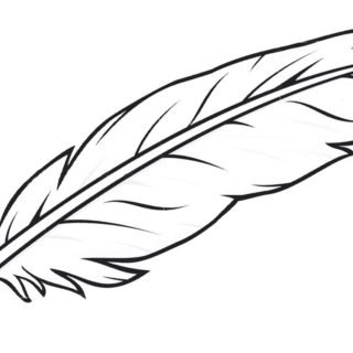 Перо голубя рисунок