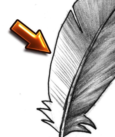 Перо карандашом поэтапно