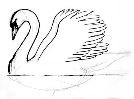 Поэтапный рисунок лебедя