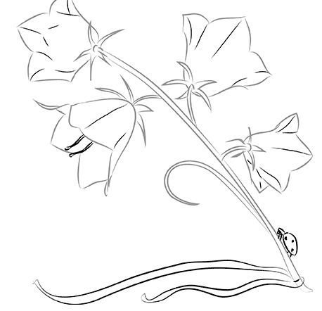 Колокольчик раскраска