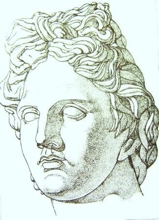 Аполлон Бельведерский бюст