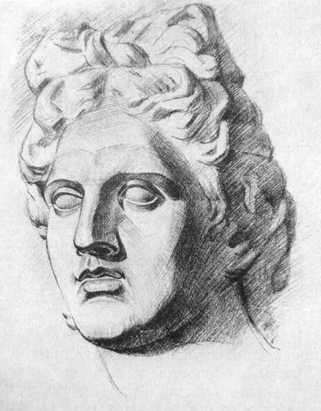 Гипсовая голова Аполлона Бельведерского рисунок