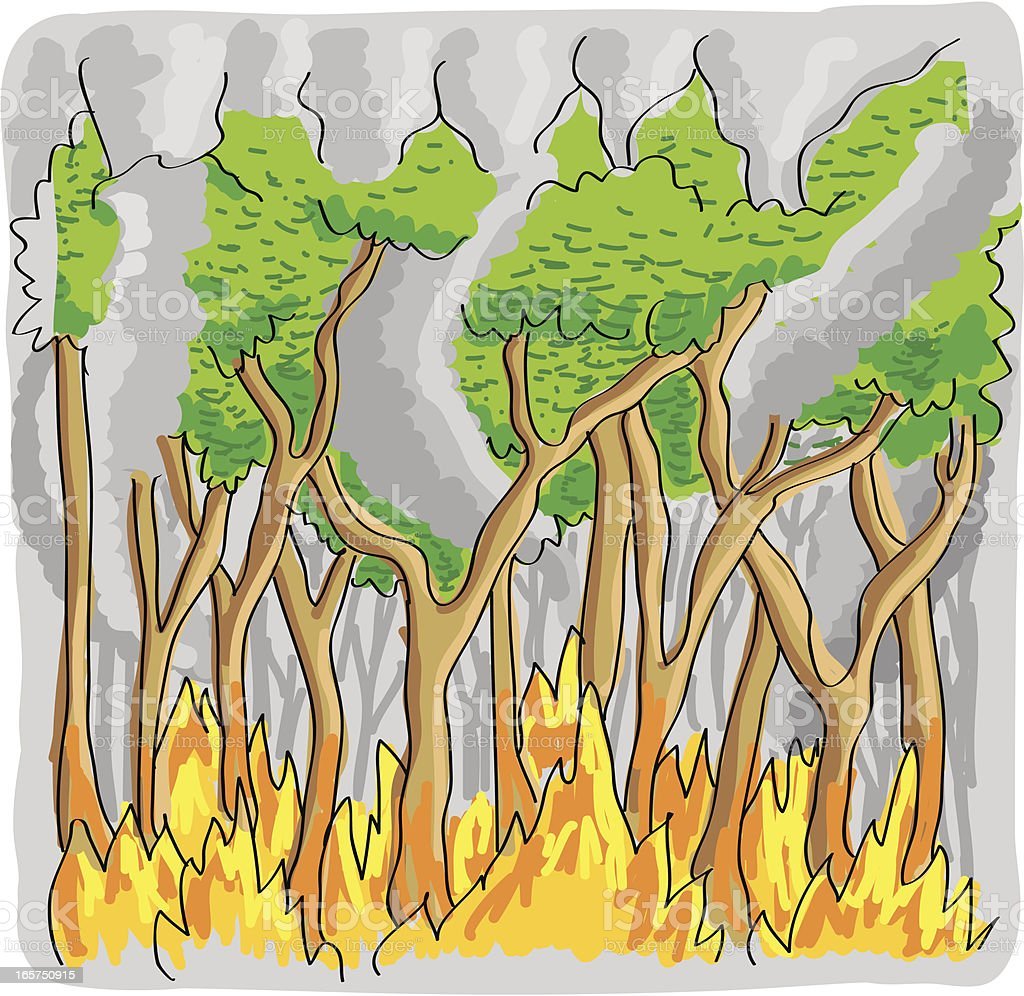 Рисунок пожар в лесу карандашом цветным