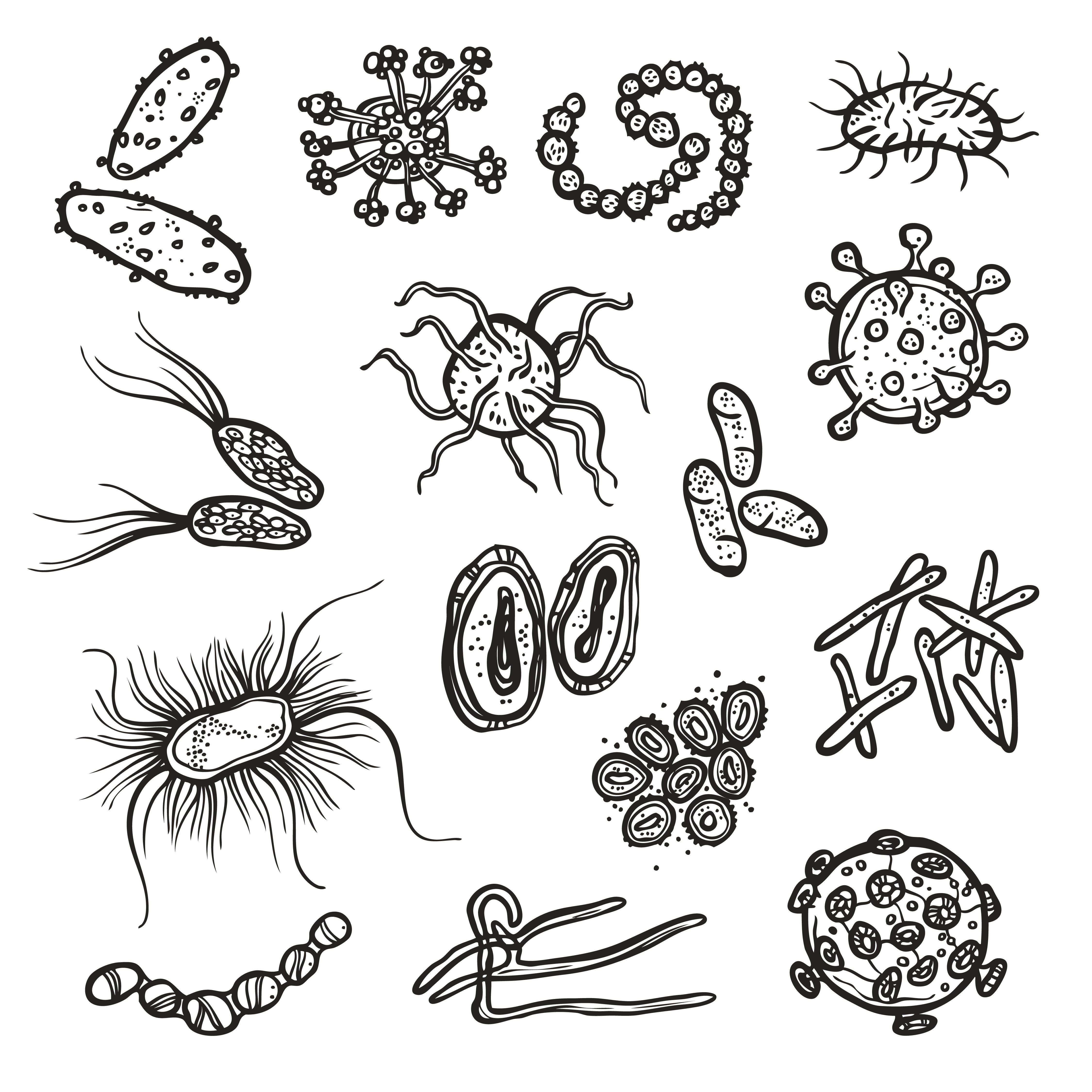 Микробы зарисовка