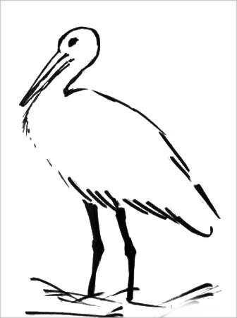 Аист простой контурной
