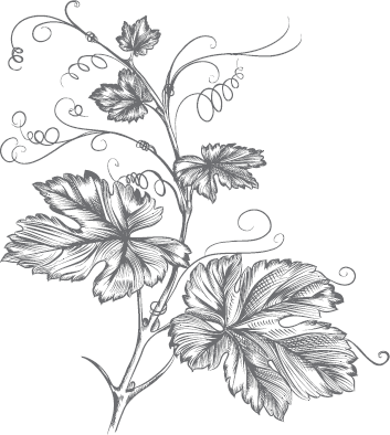 Лист огурца раскраска