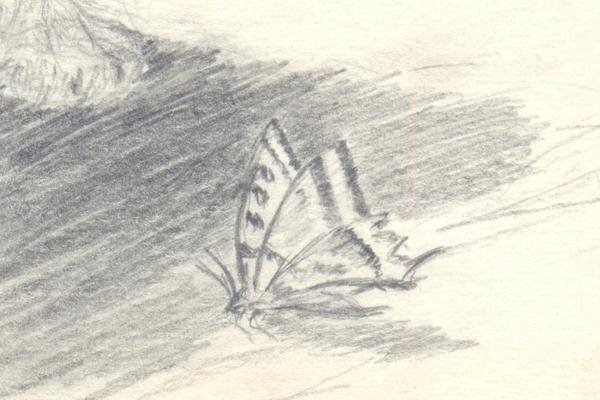 Френк фоазета скетч бук