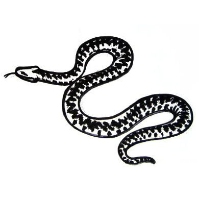 Нарисовать степную гадюку