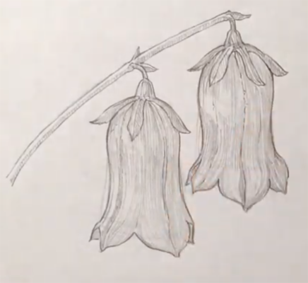 Колокольчик карандашом