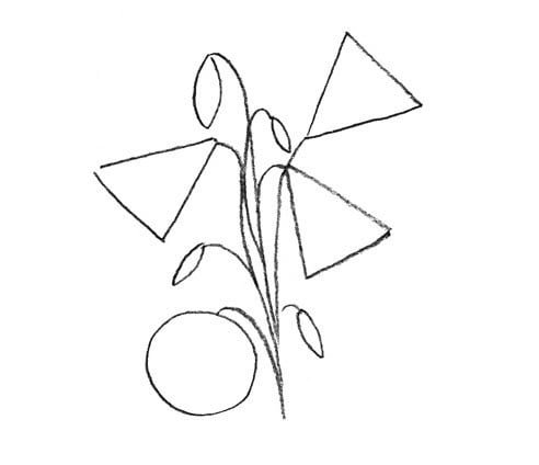 Колокольчик цветок рисунок карандашом (49 фото)