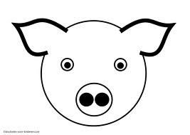 Морда свиньи