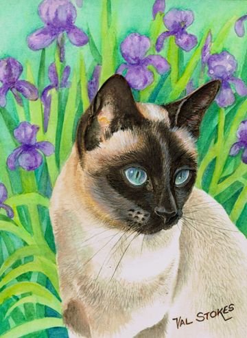 Сиамский кот эскиз