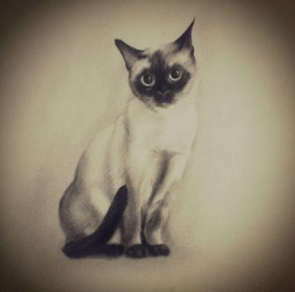 Кошка рисунок карандашом