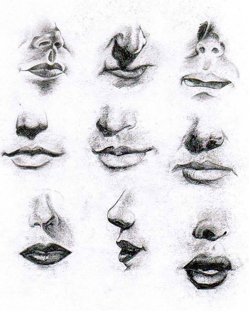 Нос ракурсы