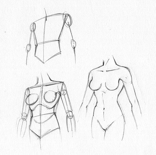 Торс женский для рисования