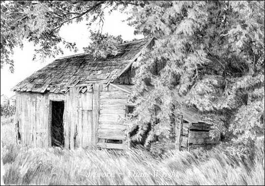 Раскраска зима пейзаж