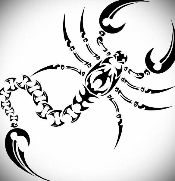 Скорпион знак зодиака рисунок карандашом