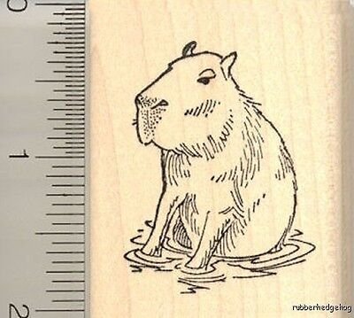 Капибара рисунок для детей