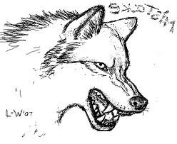 Злой волк для срисовки
