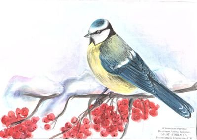 Птица на ветке раскраска