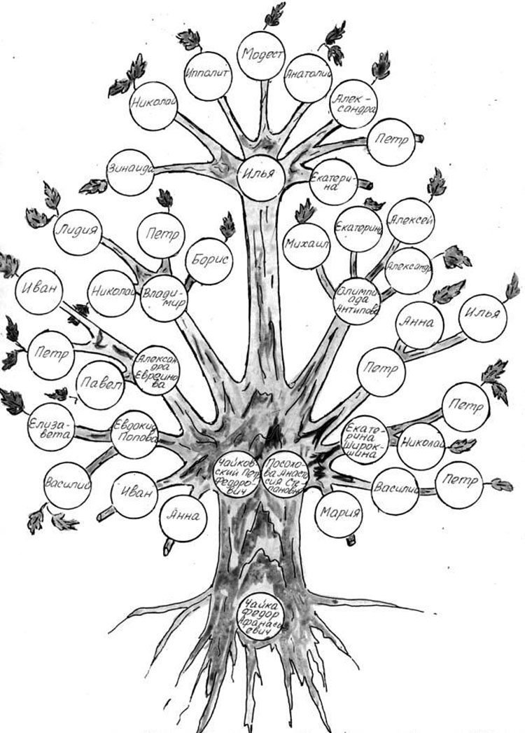Дерево жизни 2 класс. Дерево жизни родословная. Генеалогическое дерево рисунок. Родословная в виде дерева. Семейное дерево рисунок.