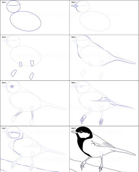 Синица рисунок карандашом поэтапно