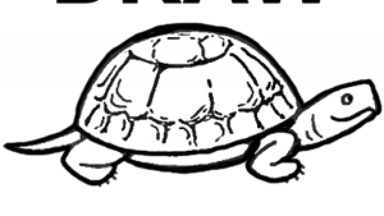 Черепаха рисунок. Черепашка рисунок. Черепаха детский рисунок. Рисунки черепахи для срисовки.
