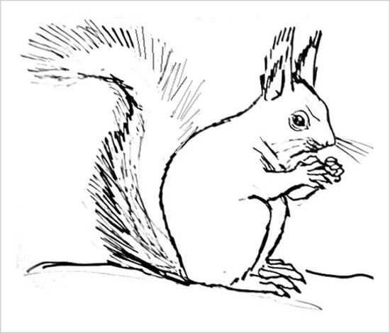 Белочка из сказки Пушкина