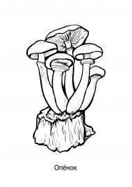Раскраска грибы опята