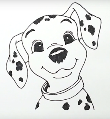 Далматинец мордочка