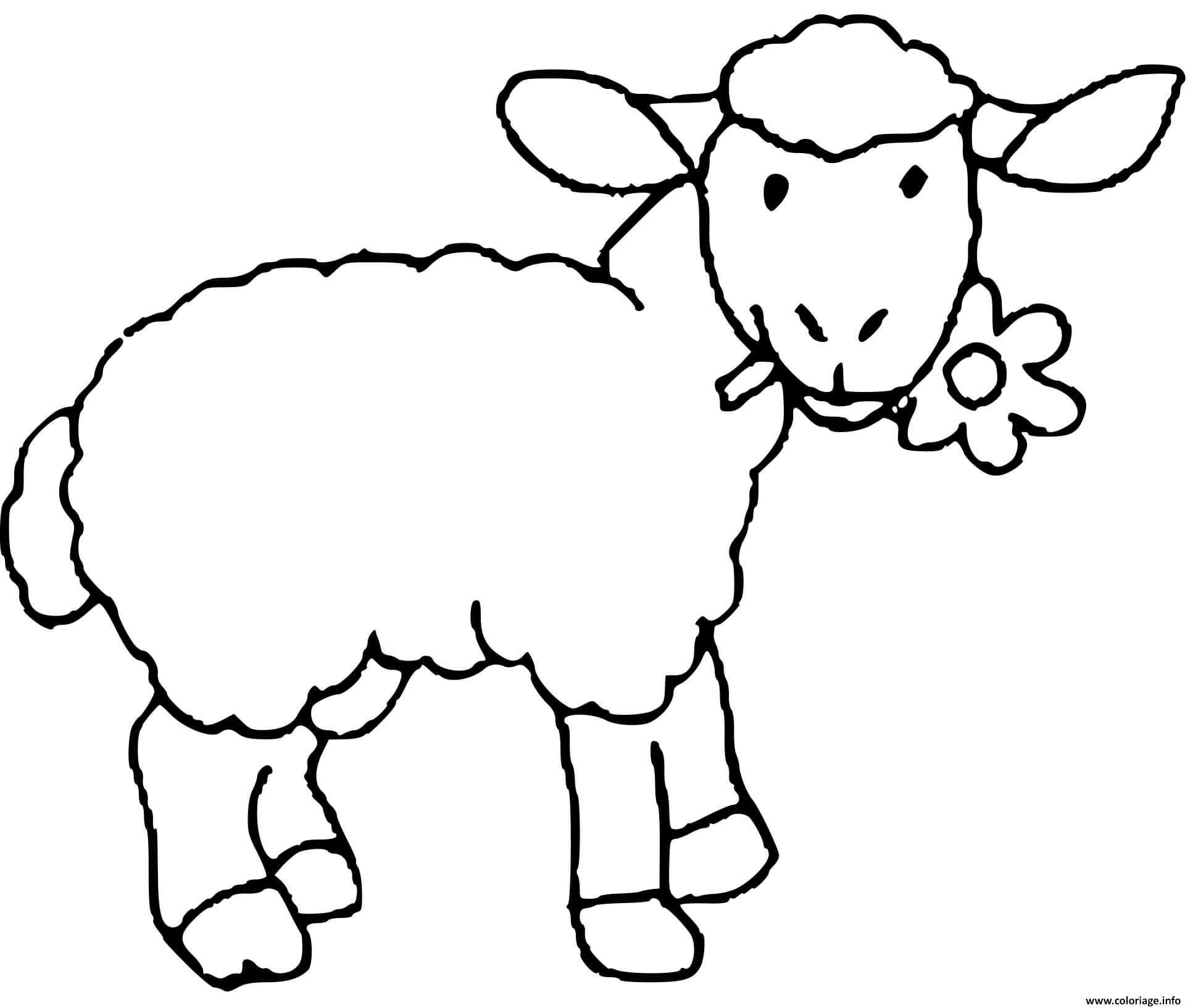 Овца рисунок для детей карандашом