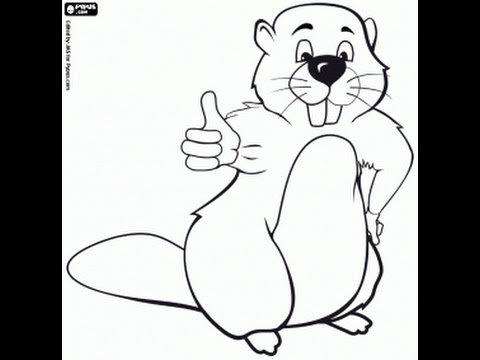 Бобер в штанах раскраска