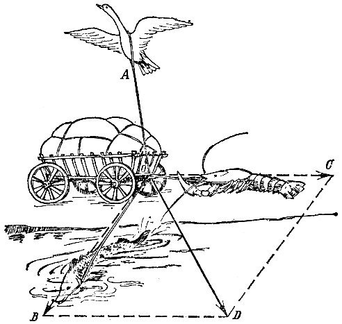 Раскраска лебедь щука