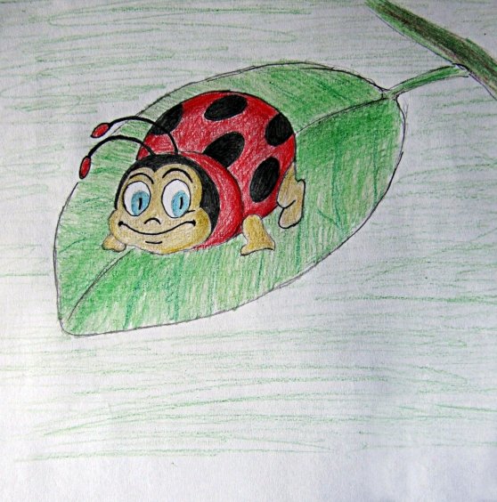 Рисование Божья коровка