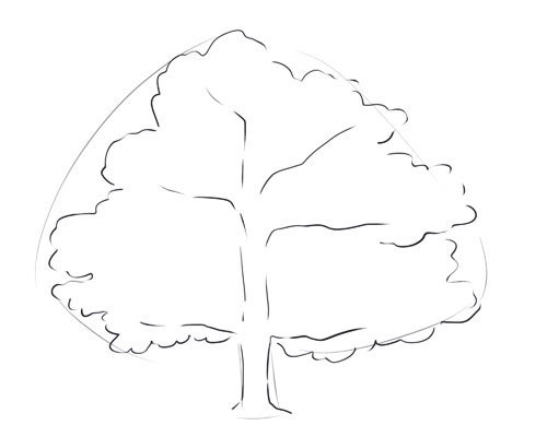 Деревья для срисовки легкие