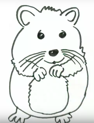 Поэтапный рисунок хомяка