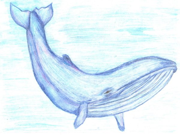 Красивые рисунки цветные