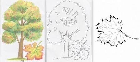 Дерево раскраска для детей