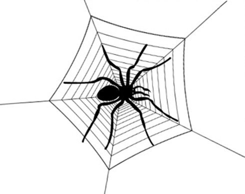 Паучок рисунок карандашом (47 фото)
