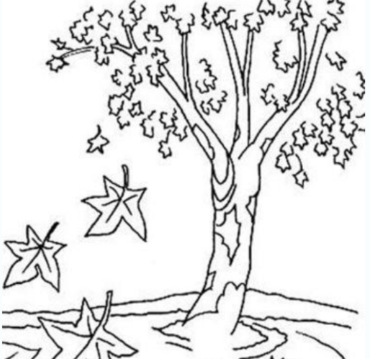 Раскраска осеннее дерево с листьями