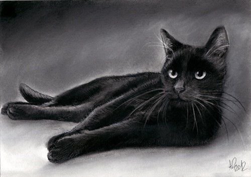 Черный кот рисунок карандашом