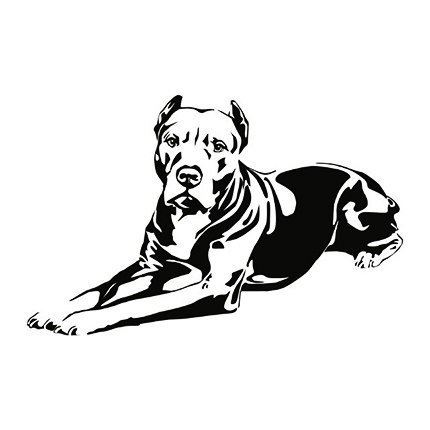 Американский стаффордширский терьер