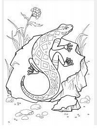 Нарисовать иллюстрацию медной горы хозяйка