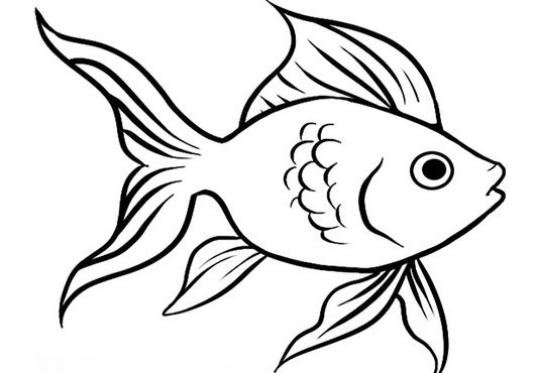 Рыбка рисунок карандашом