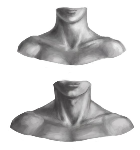 Шея и ключицы референсы