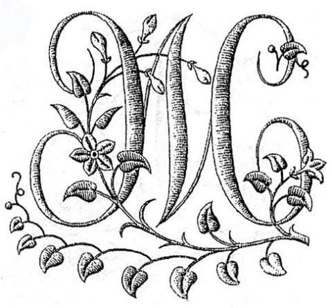 Монограмма буквы ж