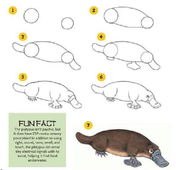 Утконос нарисовать