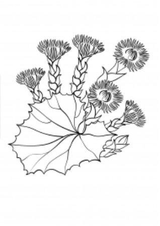 Мать и мачеха цветными карандашами